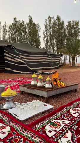 خلي طبعك بيت بدوي معدل شمحلا الرواگ