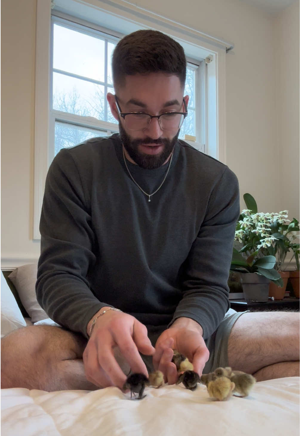 This has to be one of the most colorful batches of buttons l’ve seen in a while! Each little one has its own coloring 💙😩. Which one’s your favorite color in this hatch? - - - #cutenessoverload #babyanimals #cuteanimals #foryoupage 