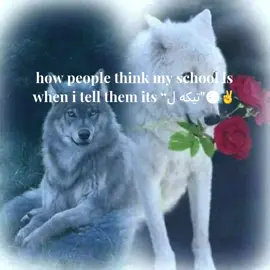 my edit so cool though✌️ #kurd #fyp #x5gaz #viral 