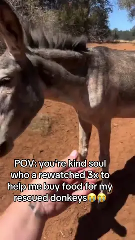 #fyp #animlaslover #animlasballoons #GermanSheperds #animlasballoons 