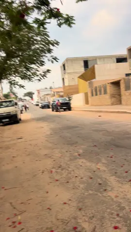 Não consigo encontrar ele na rua😅😂 Esse vídeo não tem uma duração exata, se o dono entrar em contato eu apago imediatamente.#nampulamozabique🇲🇿 #angola🇦🇴portugal🇵🇹brasil🇧🇷 #brasil🇧🇷 #RAM 