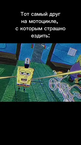 #мото#рек#боб#друн#орешкибигбоб