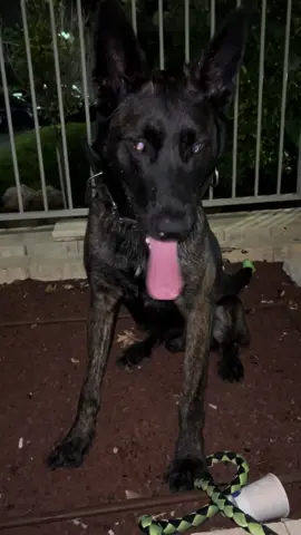 #טוני#❤️‍🔥🦾 