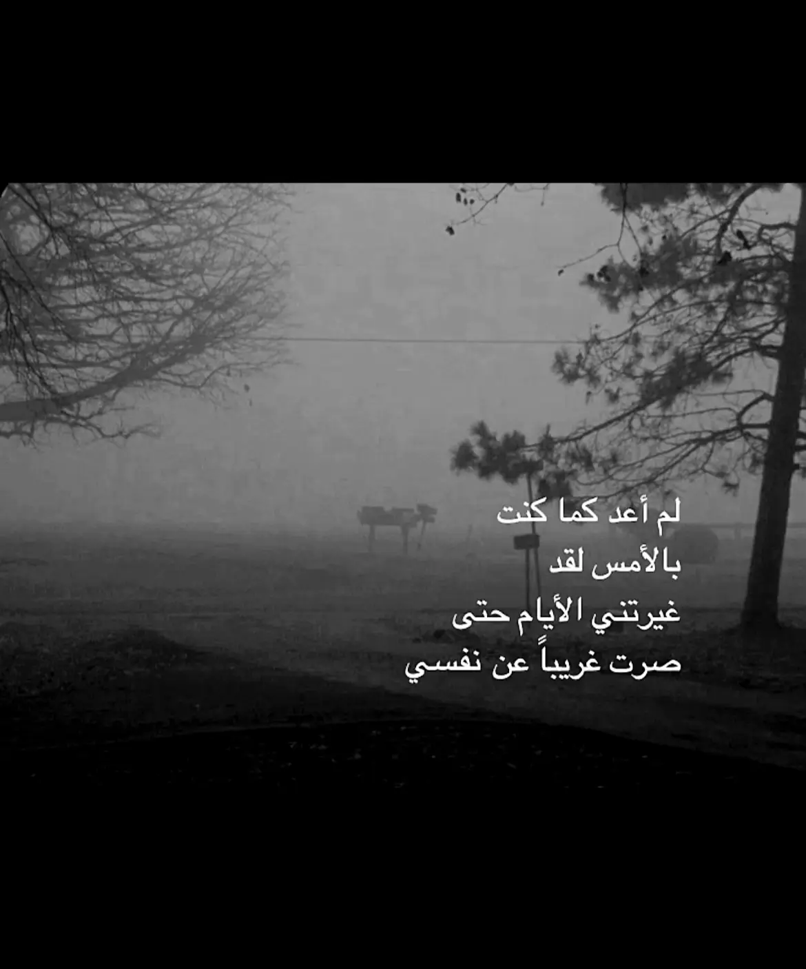 #foryou #explore #tiktok #fyp #real 