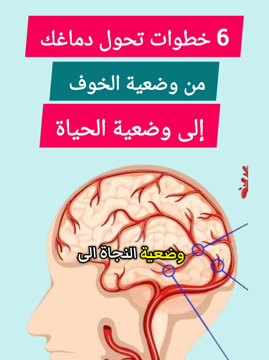 خطوات تحول دماغك من وضعية الخوف إلى وضعية النجاة #الدماغ #علم_النفس #اكسبلور 