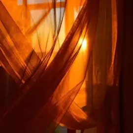 Fake Plastic Trees - Radiohead . #radiohead #mysong #lyrics #mylyrics #fyp 