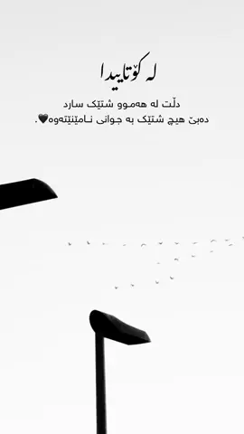 #foryoupage #parati #kurdistan #fyp 