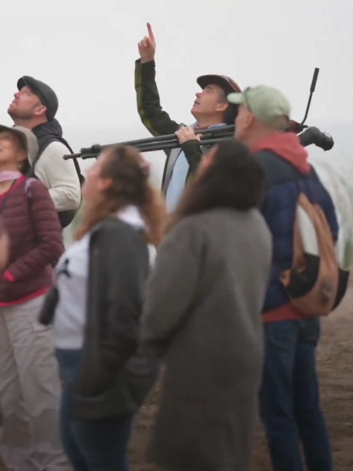Beijing might surprise you: it’s one of the world’s best capitals for birdlife, hosting 500+ species, second among G20 capitals. 🐦 Join British naturalist Terry Townshend to discover why the city is a “five-star service station” on the birds’ migratory expressway.  A reminder that nature thrives where we protect it. #COP30 #Biodiversity #BirdWatching #NatureLover