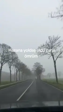 #sevdaya düştü gitti ömrüm #bahardan göçtü gitti #ömrüm #ai #yapayzeka 