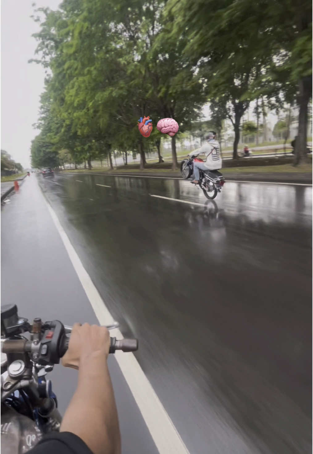 🥲  @setya  #gl100 #cepekcantik #cepekhits #glgank🤙 #cepekkotaindustri #kmhgl100 #icikiwirgank 