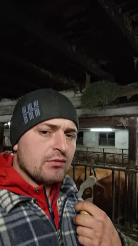 #pamflet #viralvideos #amsimuritt🤣🤣🤣 