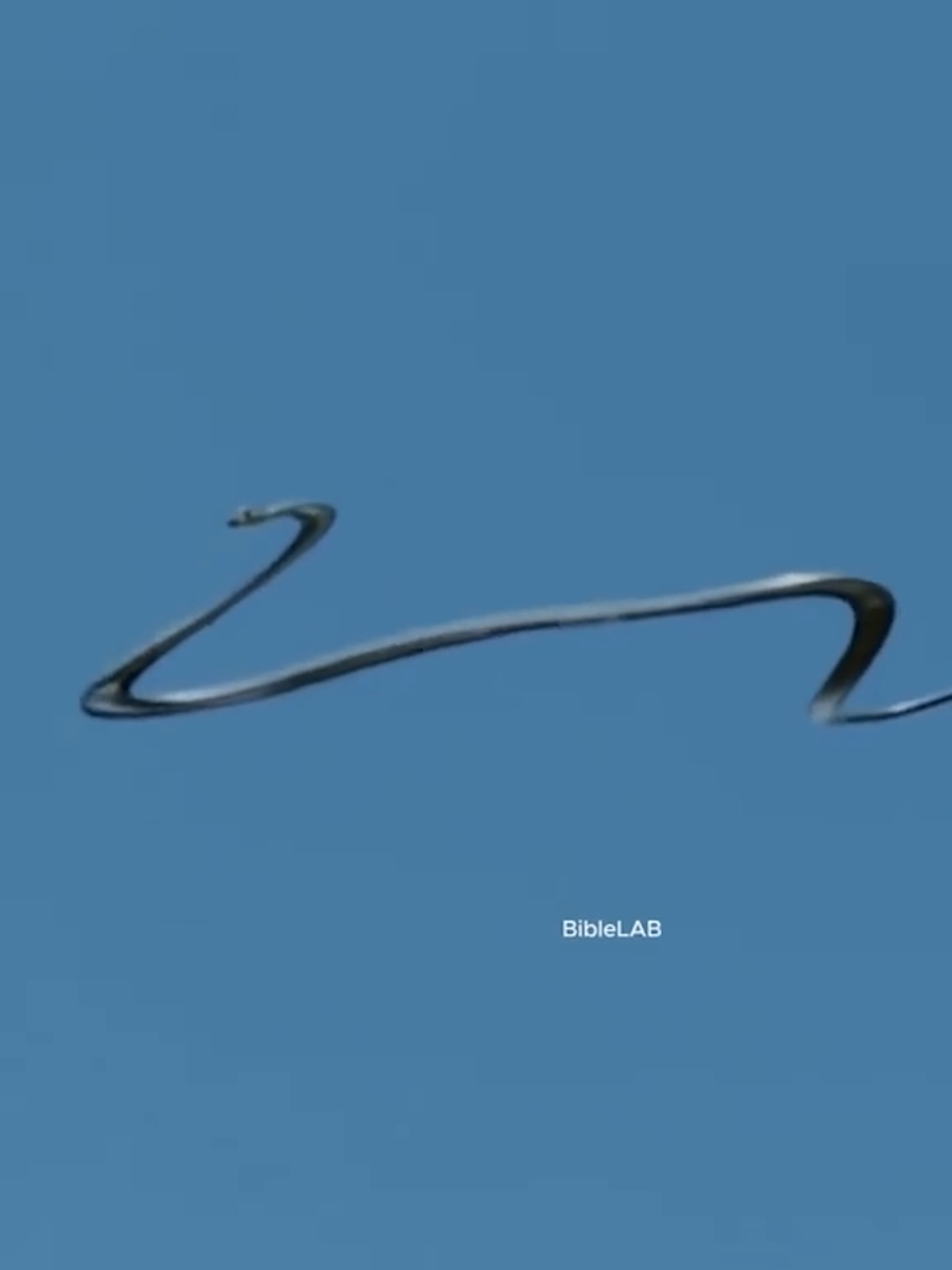 لسه مخك مش مستعد يستوعب