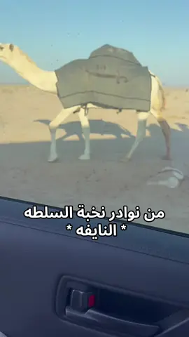 #عتيبة #نخبة_السلطة #عتيبه511 #العطاوي #511 