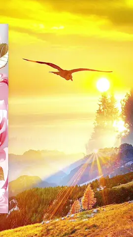 Chào sớm mai..#chaongaymoi #goodmorning 