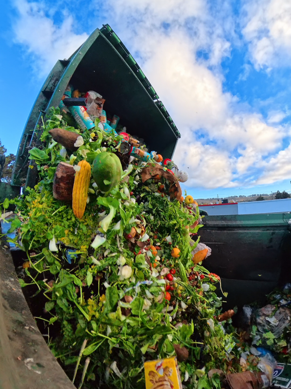 Waste Management food waste Recycling #wastemanagement #recycle #union #garbage #howto 