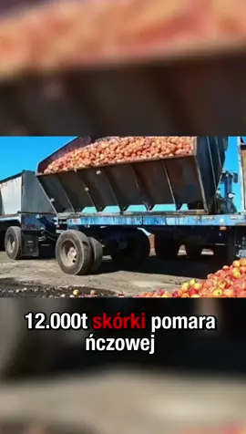 Do lasu w Kostaryce wrzucono 12 000 ton skórki pomarańczowej, a po 16 latach naukowcy dokonali zdumiewającego odkrycia.