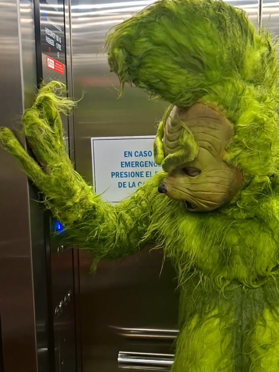 Mr. Grinch vs Santa Claus 🎄✨️ Nos encantan 📷😎 Los mejores personajes de la Navidad 💚❤️ #mrgrinch #grinch #randon #santa #navidad 