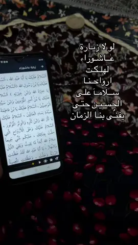 #اللهم_صل_وسلم_على_نبينا_محمد #السلام_عليك_يااباعبد_الله_الحسين #السلام_على_الحسين_و_على_اصحاب_الحسين 