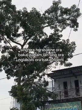 wong liyo ngerti opo#katakata #sadvibes #jawapride #tanpotresnamu 