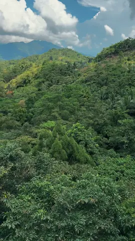 Sierra Madre Mountain Range ⛰️  Marilaque, Infanta Quezon ⛰️🌿 #SierraMadre #NatureTherapy #Marilaque #InfantaQuezon #Rides 