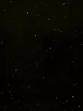 #كيمو_الديب  #الديب🐺🖤 