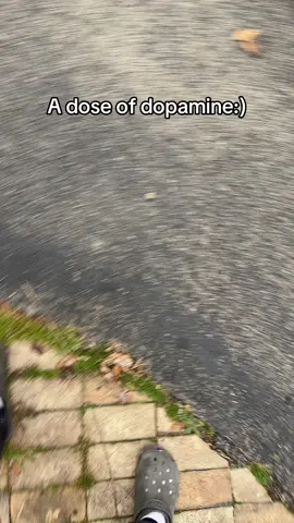 Frankie says good afternoon and he hopes your days okay 