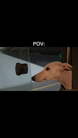 #هواجيس #ينبعاوي #اكسبلورexplore 