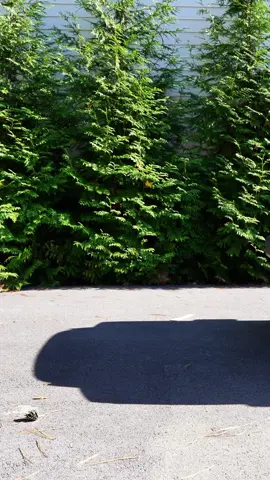 🚨WE HAVE A JEEP WINNER🚨