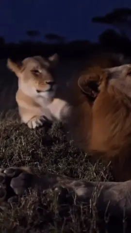 ما اسامح خطاك ☝🏻