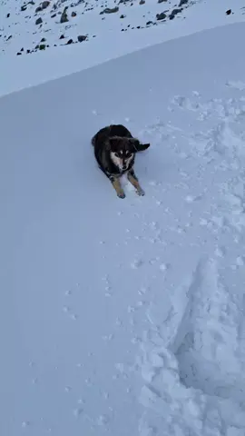 سافر بعيداً .. ليس بالضرورة أن تبتعد جُغرافياً ، يكفي أن تسافر بعيداً عن سطحية العقول ، تفاهة المجتمع ، عصيان الأفراد ، التبعية بالرأي. . . . . . . . . #الأمازيغ_المغرب😍😍 #الأمازيغ_في_الموسيقى #morocco🇲🇦 