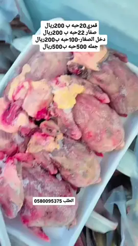 #للبيع #طير #دخل #عصفور #تين #صفار #قمري 