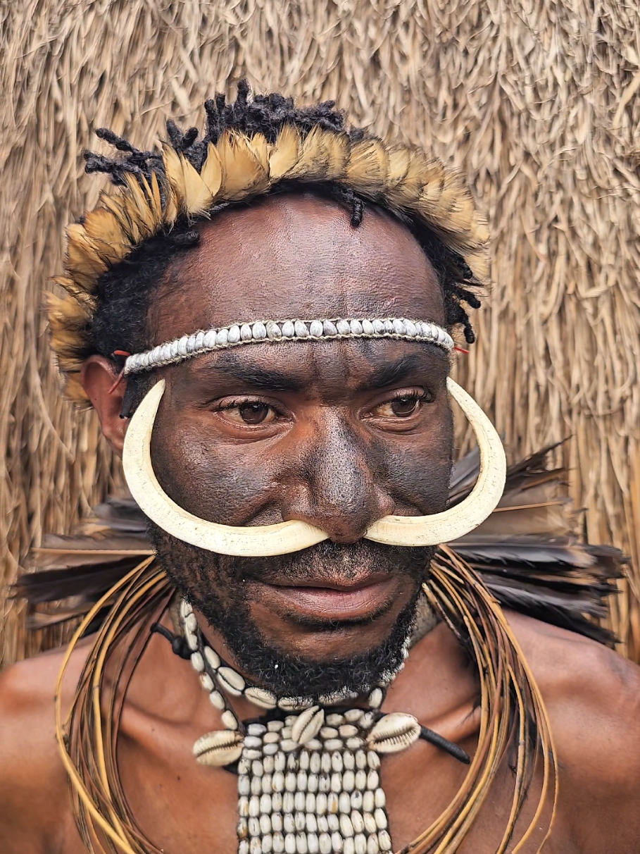 Piercing 🐗 😯 #traditional #piercing #dani #tribe #papua 