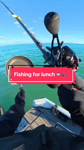 I Fished for LUNCH 🐟🎣 #fishing #fish 