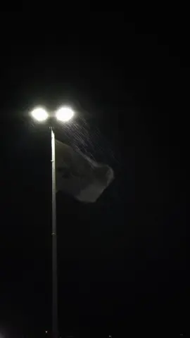 #دژەتیرۆر #کاک_وەهاب_هەڵەبجەیی #CTG 