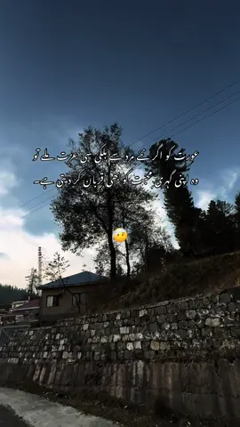 #fypシ゚ عورت کو اگر نئے مرد سے ہلکی سی عزت ملے تو  وہ اپنی گہری محبت کو بھی قربان کر دیتی ہے۔