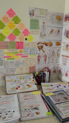 «بەرەو مانگ هەڵبکشێ گەر ڕێگەشت لێ هەڵە بوو لەسەر ئەستێرەیەک خۆت دەبینیتەوە»😍🌷 خوێندنی پولی ١٢، هاندان 💕 #study #poli12 #motivation #fyppppppppppppppppppppppp #foryoupagе 