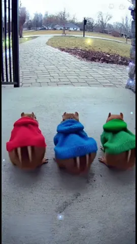 #sora #viral #trend #chipmunk #fypシ゚viral 