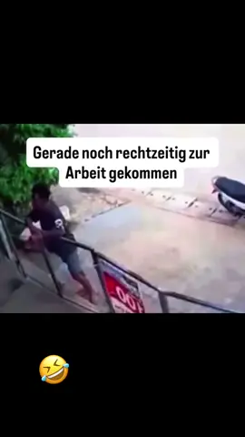 #IVMGS  #dog #dogtok 