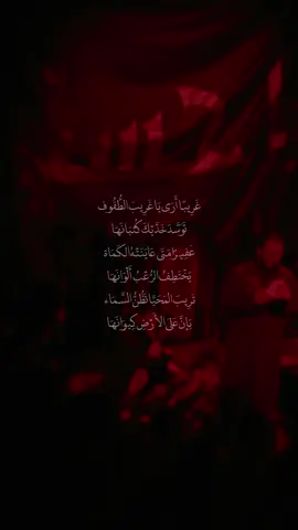 #محمدباقرالخاقاني #تابعوني_فضلا❤ #اكسبلور #fyp 