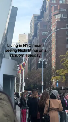 Nicki minjaj #barb #nickiminaj 