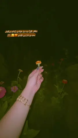 👀 #zaxo_duhok_hewler_slemani_hawler #nergzbarzani3 #soran #foryou #tiktok 