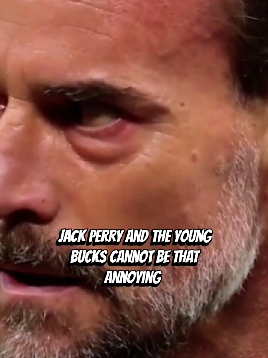 CM Punk. Jack Perry and The Young Bucks aren't THAT annoying.  #WWE #cmpunk #foryoupage #funny #wrestletok 