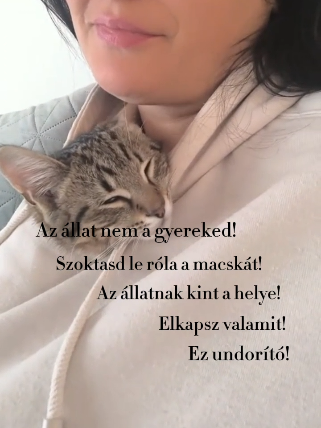 A halálos ágyunkon hány olyan idegen vélemény lesz vegül fontos, ami miatt szarul éreztük magunkat?! 😂💥☹️ #mindennapjaink #szopi #foryou #macskámvan #macska 