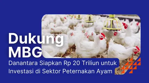 Semua berjalan mulus, program MBG nggak lepas dari andil presiden prabowo dan Danantara Untuk MBG di peternakan #InvestasiDanantarauntukMBG 