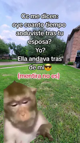 #CapCut #humor #Meme #parati #fyp 