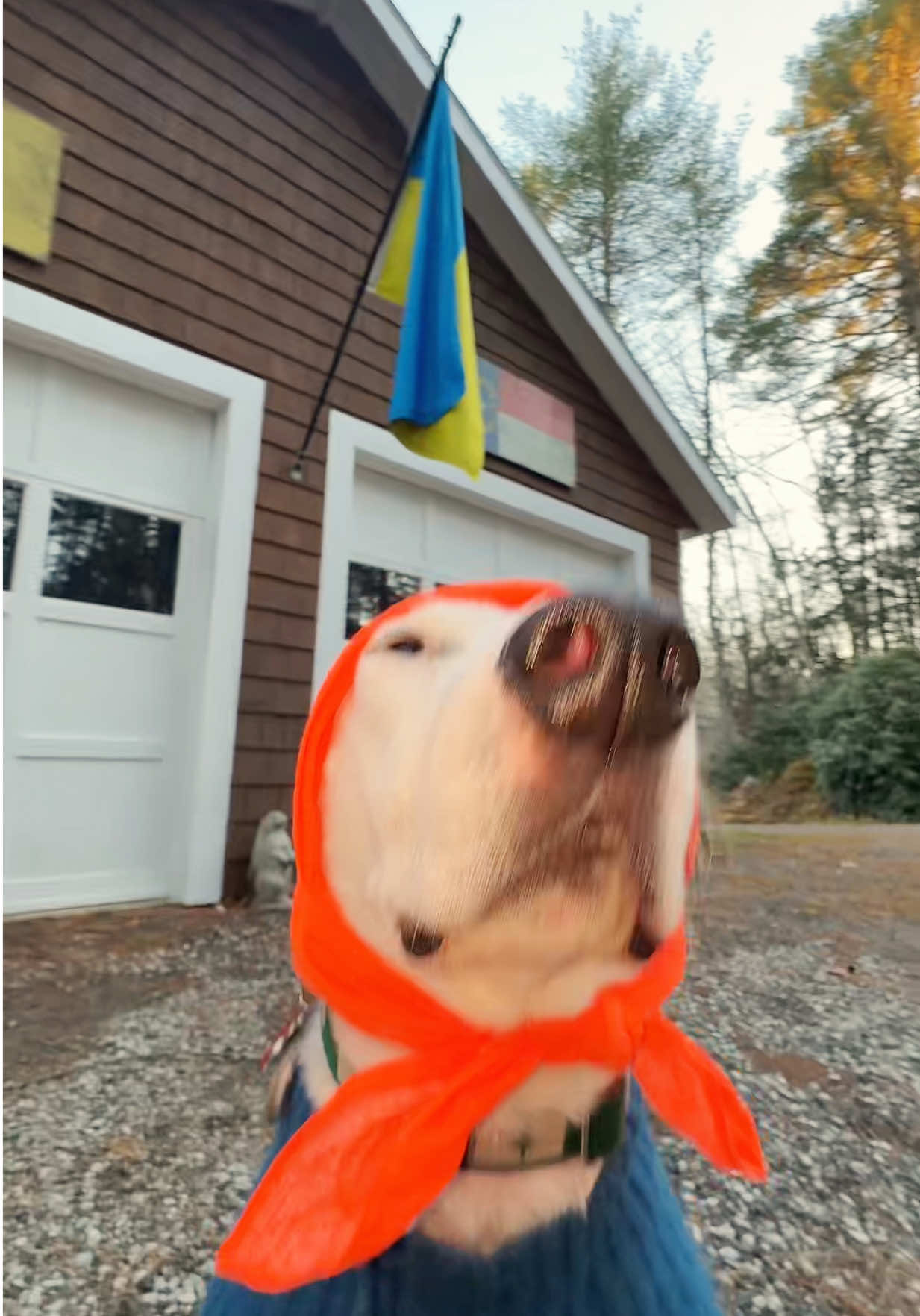 No one: Slavic grandmas / бабусі