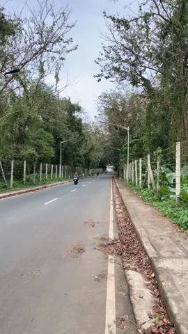 Papawis kasama mga tropa #fyppppppppppppppppppppppp #siklistangtiktoker #bikeislife🚴 #tropangbikers🚲 #foryoupage 