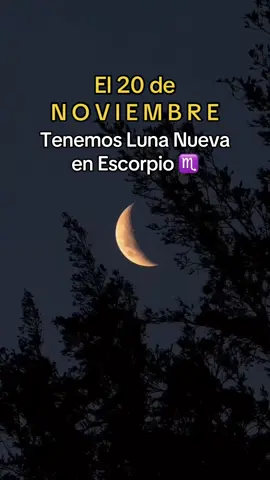 Luna Nueva en Escorpio = renacimiento profundo. O sueltas… o la vida te suelta por ti. 🦂🌑 ¿Qué estás listo para dejar morir? #LunaNueva #EscorpioSeason #Astrología #astrologiatiktok #parati 