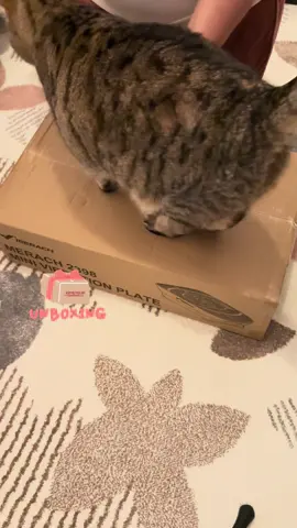 🌙 Die Vibrationsplatte lockert deine Muskeln und trägt zu einer entspannteren Abendroutine bei. Sie unterstützt die Durchblutung und kann zu einem ruhigeren Einschlafen beitragen. 👉 10 Minuten vor dem Schlafengehen – spür den Unterschied. ✨ @Merach DE Sports @Merach Sports  #UnboxYourDeals #tiktokmademebuyit #tiktokshopblackfriday #eveningroutine #selfcarevibes