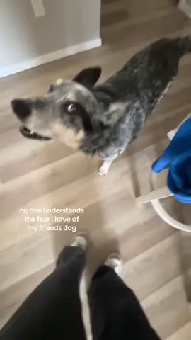 evil kenevil #savage @Emilee !! @𝐤𝐲𝐥𝐢𝐞𝐞💫 